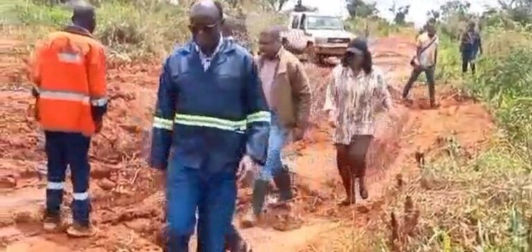 WhatsApp Image 2025-11-29 à 12.16.58_ea0c49dd